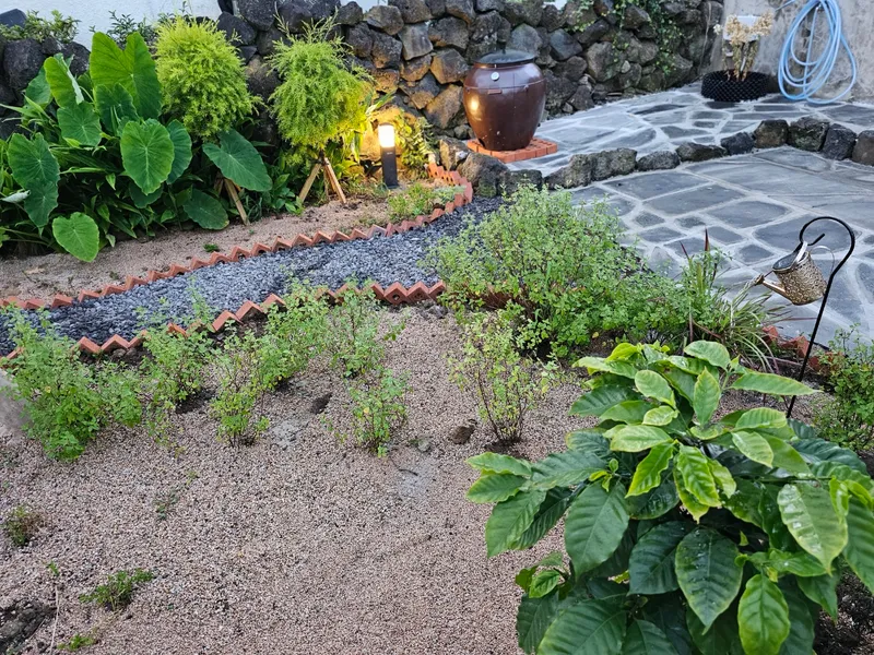 [Namwon, Seogwipo] Family room. Two-room. Private detached house located within the village. Pets allowed. Free guest access. 59