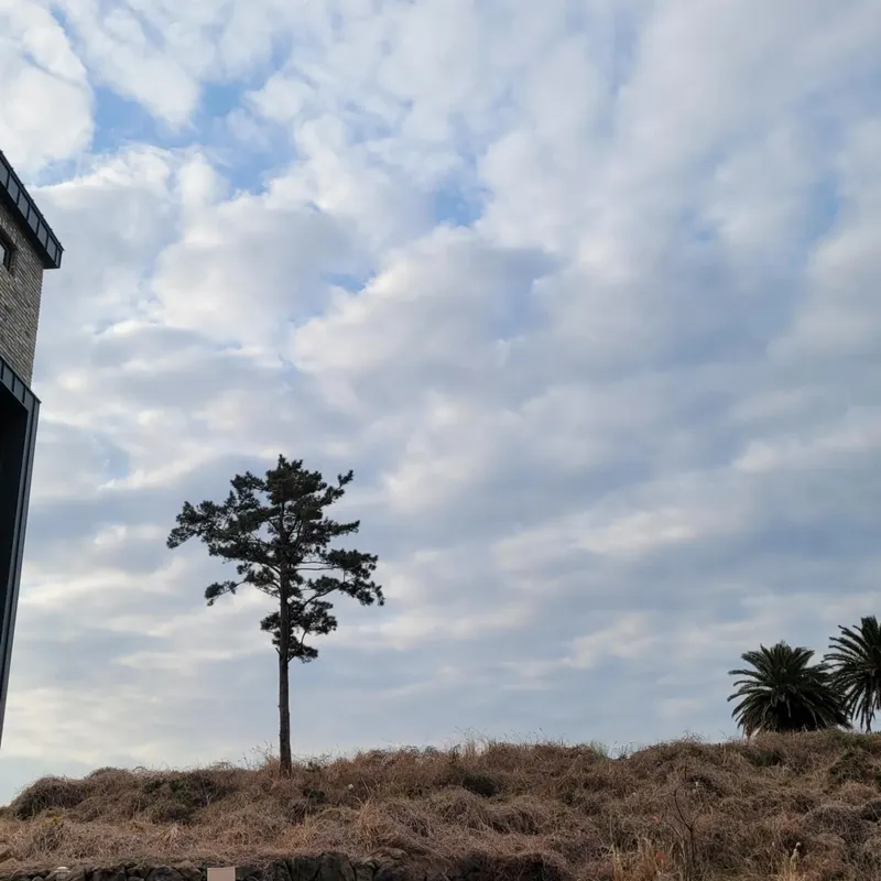 [제주 애월] 해안 절경 오션뷰 한라산 뷰 층고 높고 넓은 옥상뷰 복층 128