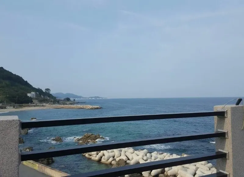 [경북 영덕] 후포항 인근 바다가 보이는 원룸형 펜션 1층 11