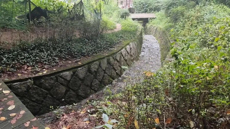 [Seongbuk, Seoul] House in the forest in the city center 25