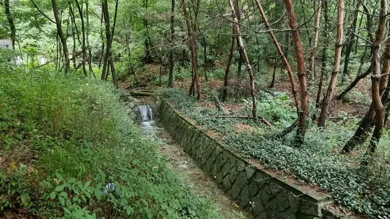 [Seongbuk, Seoul] House in the forest in the city center 31