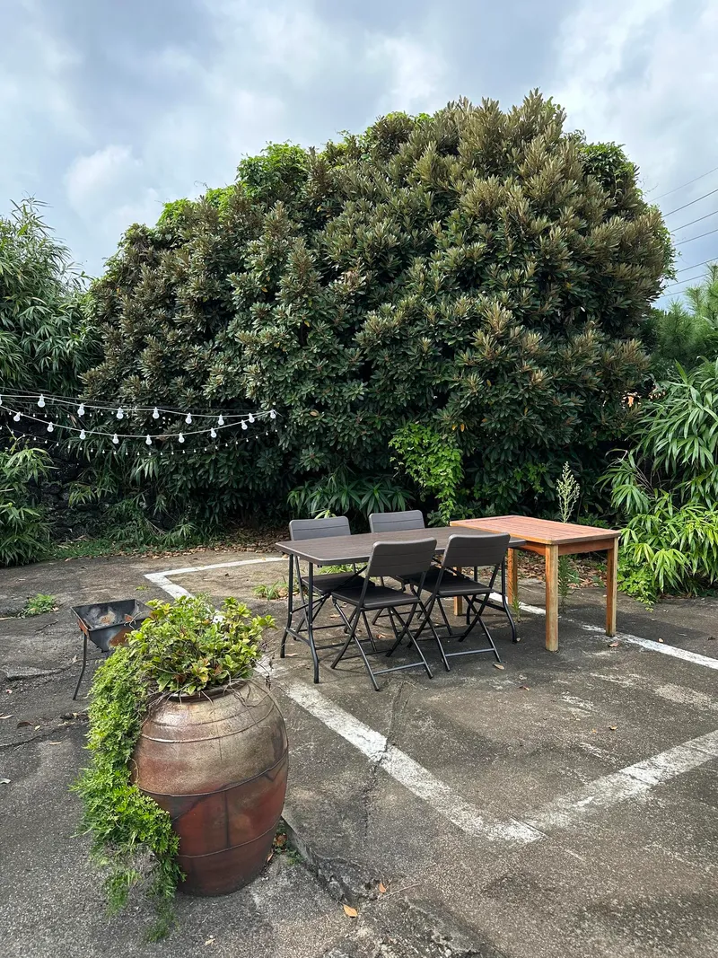 [Seongsan, Seogwipo] A sentimental detached house surrounded by tangerine fields and stone walls #Exclusive for one week and a half 36