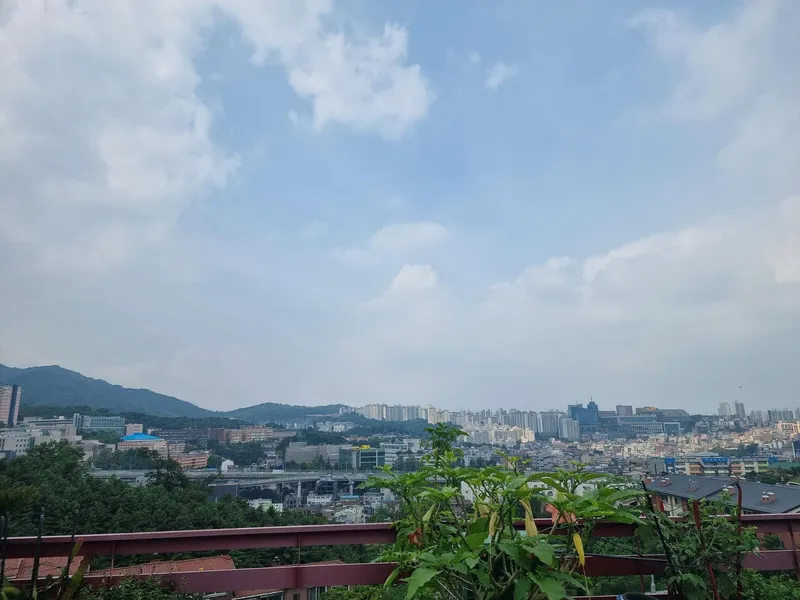 [Seongbuk, Seoul] House in the forest in the city center 32