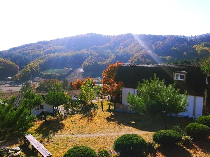 [강원 평창] 캐빈B:넓은 잔듸 위에 동화속의예쁜집청정지역 11