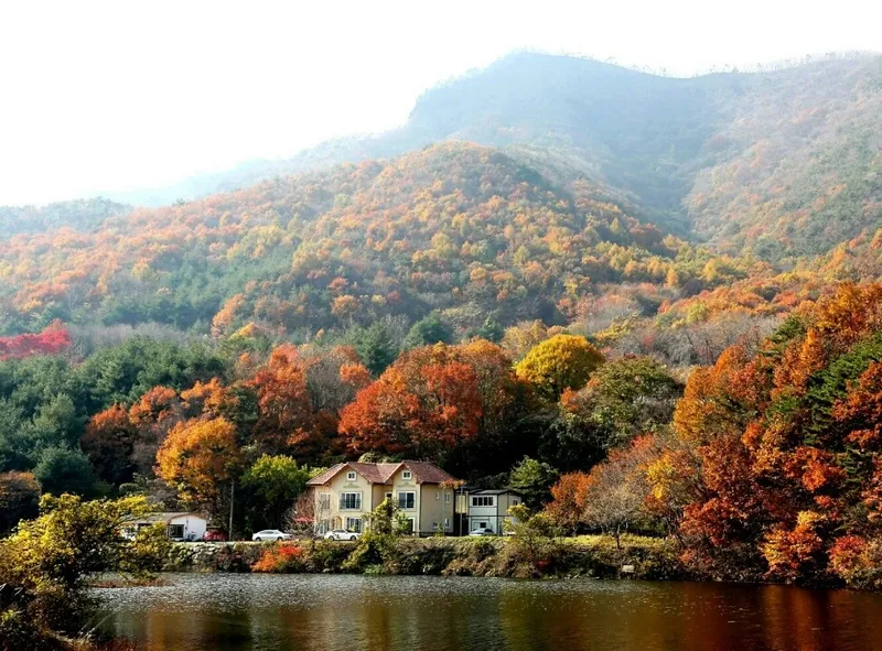 [충남 논산] 대둔산의 경치와 수락저수지가 펜션안에 있는 시골살기 #예실 6
