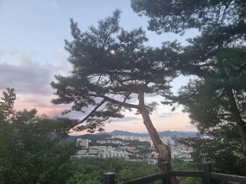 [Seongbuk, Seoul] House in the forest in the city center 27