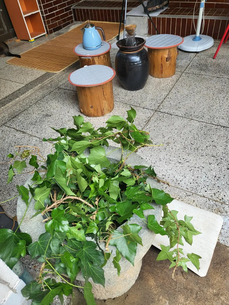 [Dong-gu, Gwangju] Bookstay 5 minutes from Gwangju Hot Place 14