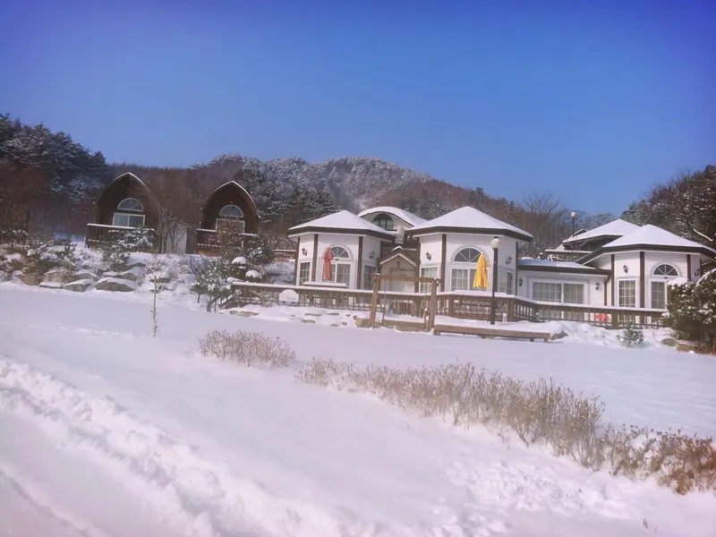 [Pyeongchang] Log M2 Room Private Duplex Pool A forest garden inside me 22