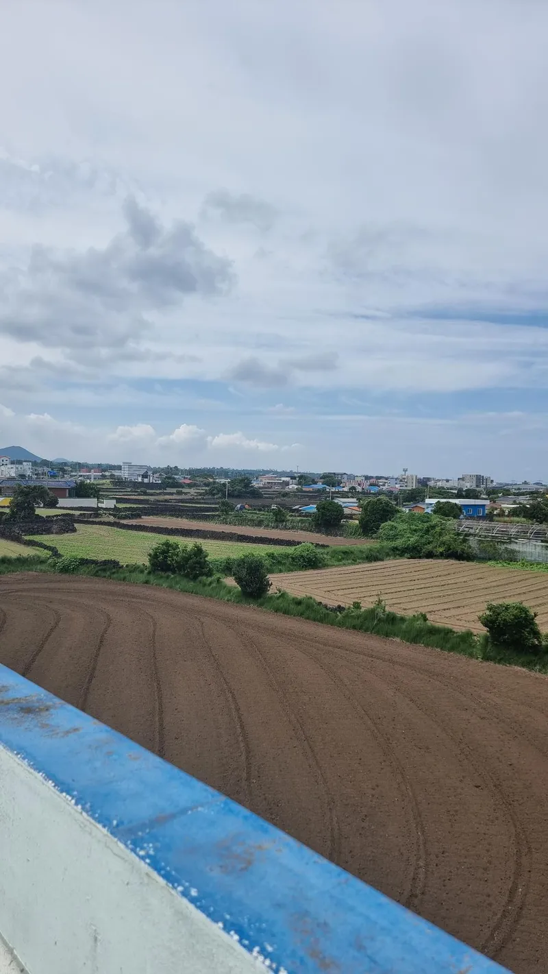 [제주 구좌] 세화해수욕장 인근 한적한 마을 숙소 23