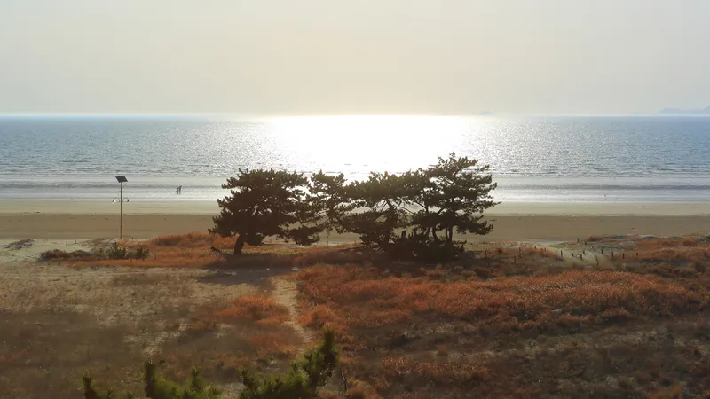 [충남 태안] 청포대해수욕장 바로앞 오션뷰 펜션 302호 8