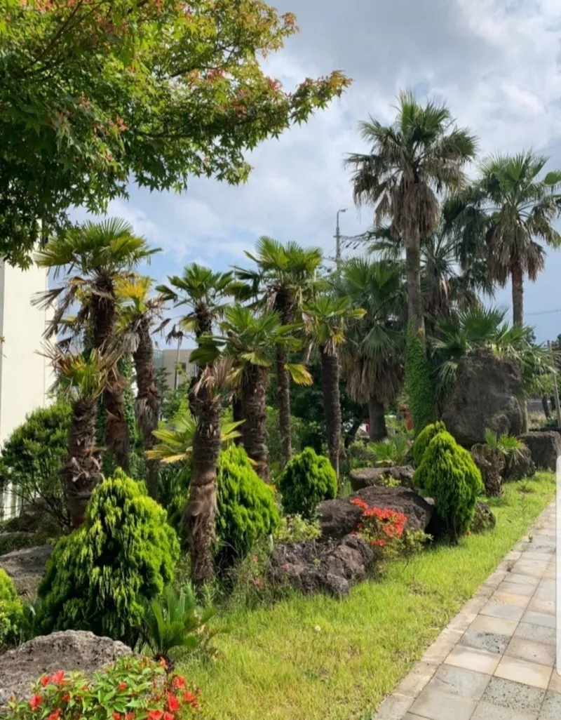 [Topyeong-dong, Seogwipo] Hotel-style 1.5 room skip floor + private terrace My own space K3 19