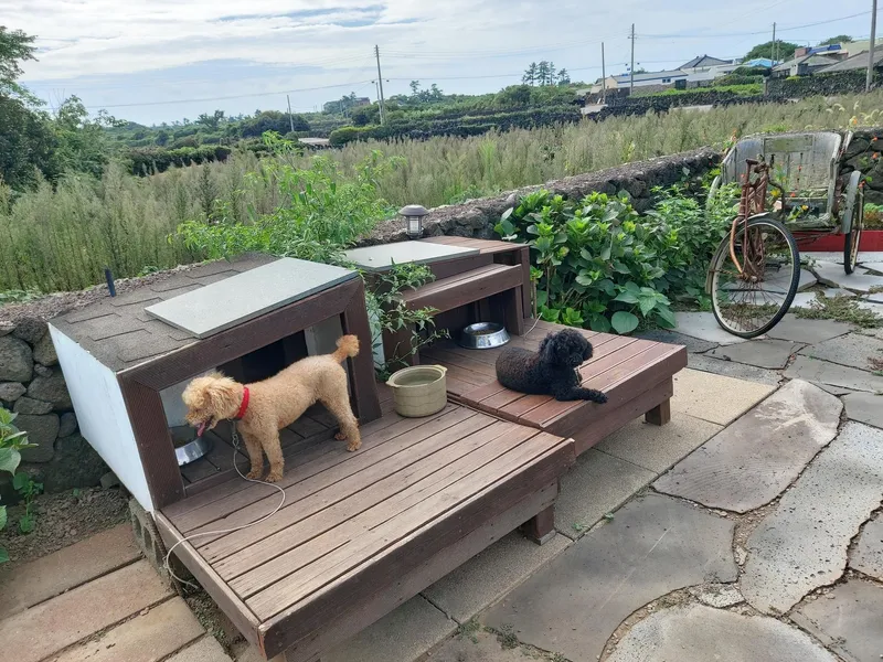 [Hangyeong, Jeju] Accommodation near Panpo Port #Separate one-room detached building #Accommodation that allows small dogs 31