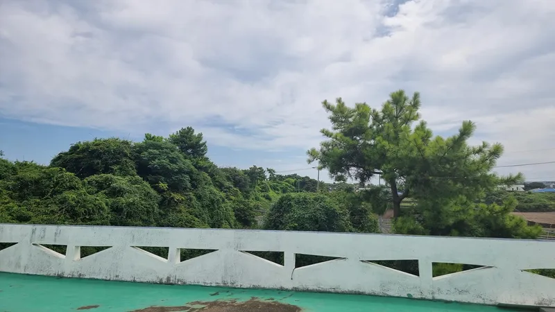 [제주 구좌] 세화해수욕장 인근 한적한 마을 숙소 21