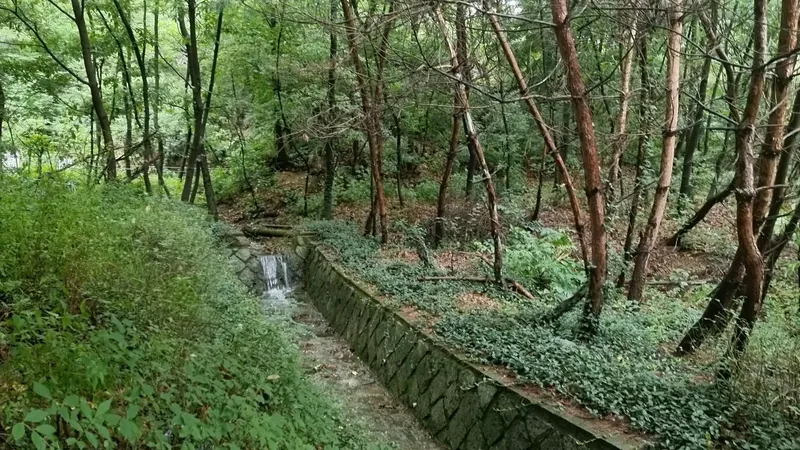 [Seongbuk, Seoul] House in the forest in the city center 24
