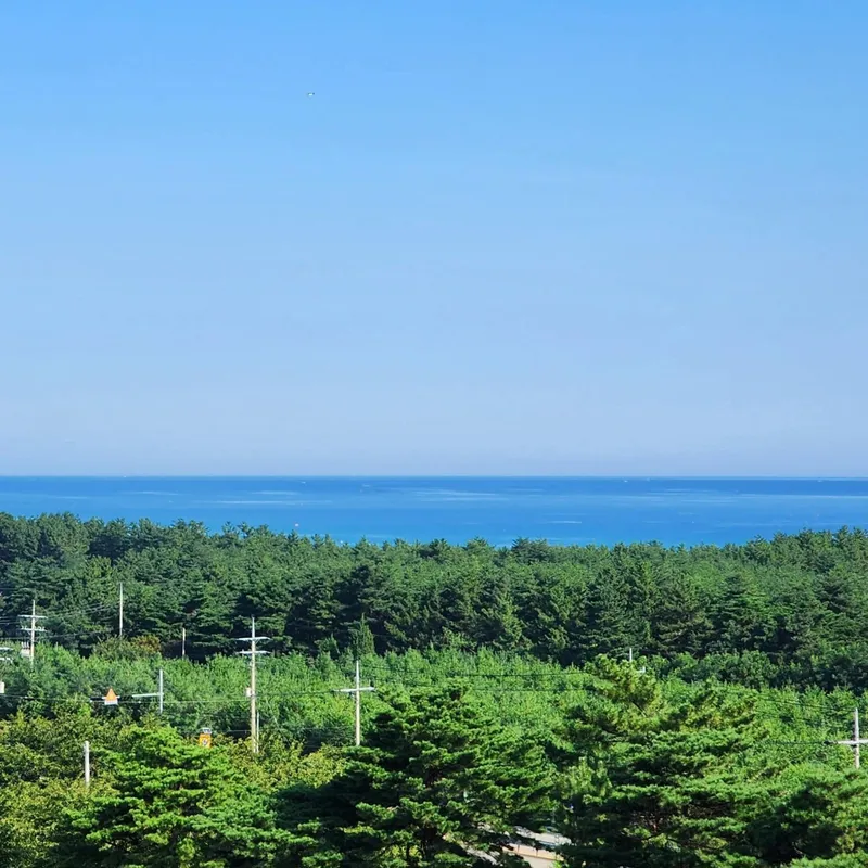 [Yangyang] "Purda Yangyang" with its pine forest and ocean views 11