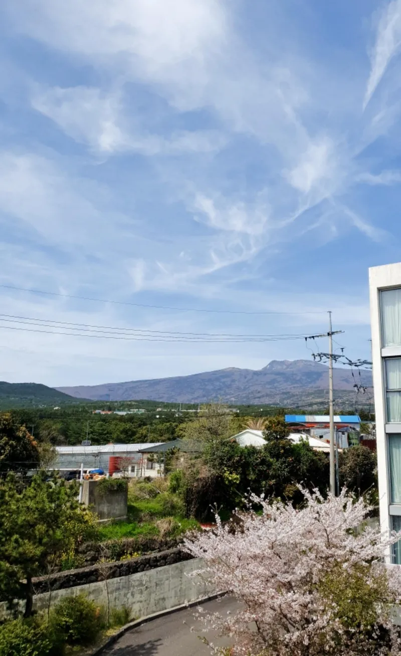 [Topyeong-dong, Seogwipo] Hotel-style 1.5 room skip floor + private terrace My own space K3 27