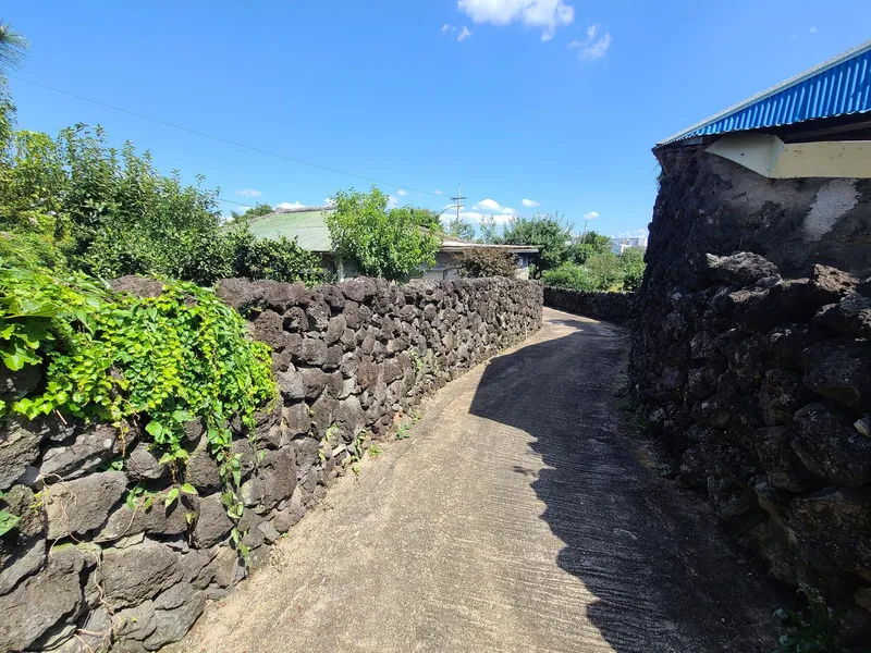 [Seoho-dong, Seogwipo] Living in a Jeju stone wall house like a real Jeju person 29