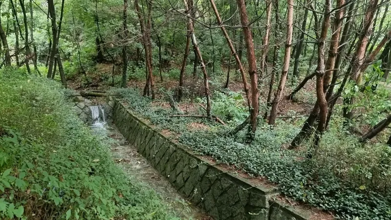 [Seongbuk, Seoul] House in the forest in the city center 30