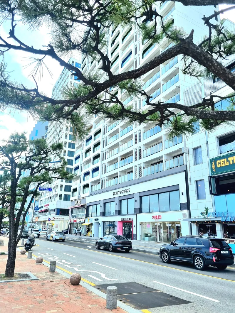 [부산 수영] 광안리 도보1초 무료주차 오션힐 편백하우스 하프오션뷰 20