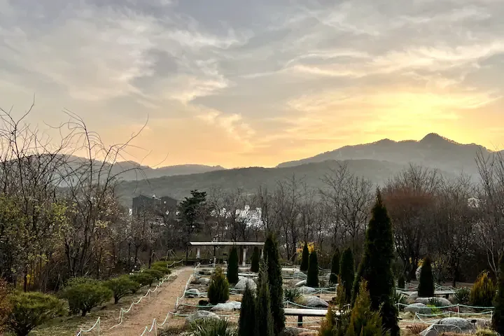 [Seongbuk, Seoul] 8-Pyeong Studio Apartment in Jeongneung, Starting from Bukhansan National Park, Fully Furnished, 2nd Floor, Sunlight and Birdsong 21