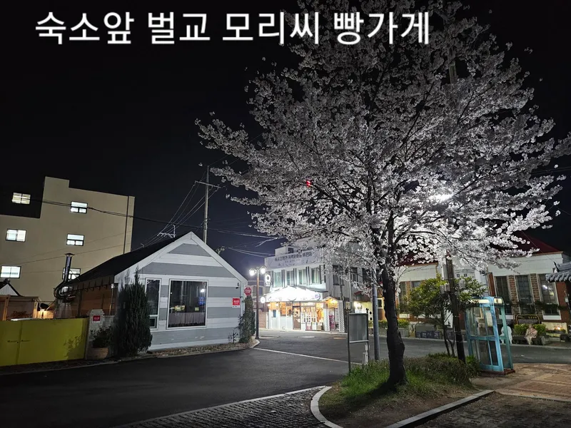 [전남 보성] 벌교읍내 화이트톤 조용한 시골집 단독주택 23
