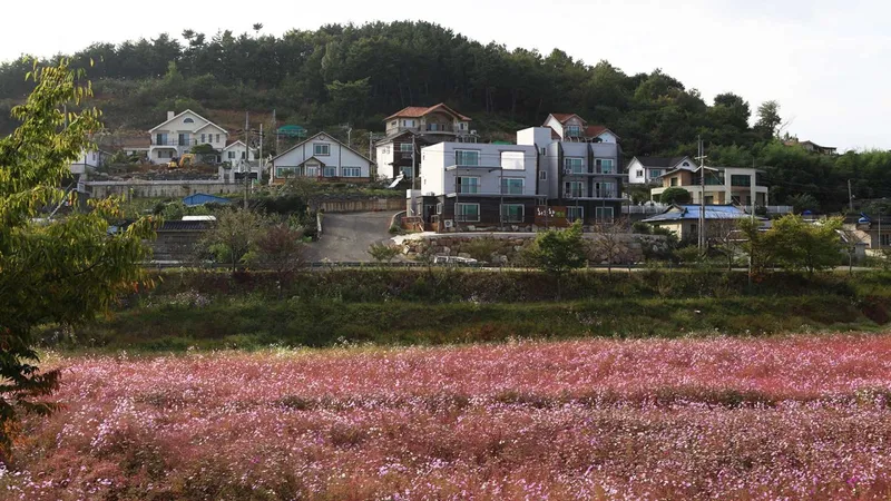 [경남 진주] 대평면 진양호수 인근 한적한 시골마을 펜션 레몬밤 7