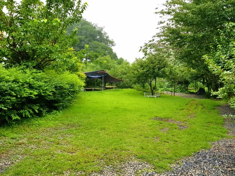 [Yeongdong] Clean valley upstream of Mulhan Stream/Rural life/Best forest area 11