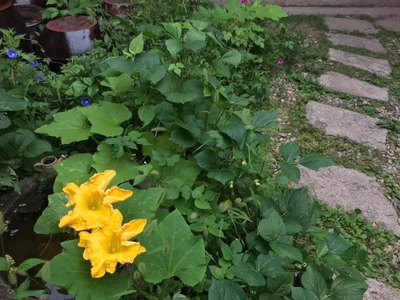 [서울 종로][서울 종로 한옥] 과거로의 여행 2인실 20