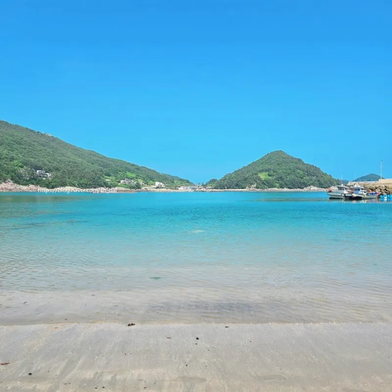 [경남 남해] 느긋하게 머무르는 어촌 레트로 독채 시골집 / 소형견 동반 가능 80
