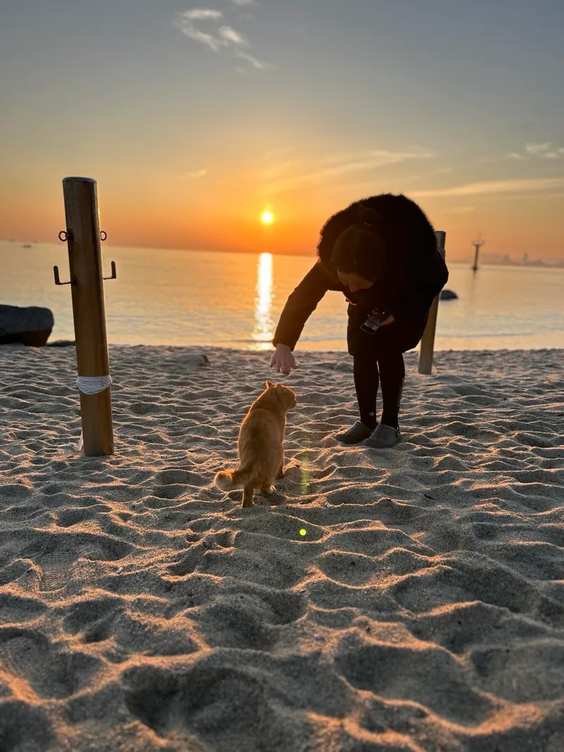 [강원 강릉] 사천해변 도보 신축 1층아파트#아이와함께하기좋은숙소# 33