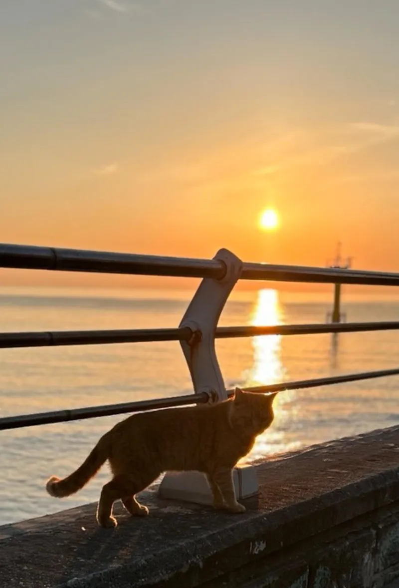 [강원 강릉] 사천해변 도보 신축 1층아파트#아이와함께하기좋은숙소# 32