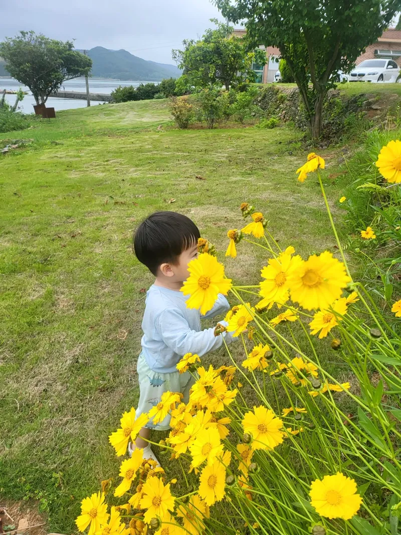 [경남 남해] 앞마당이 바다, 갯벌조개잡이, 금잔듸마당(집 전체사용해요) 31
