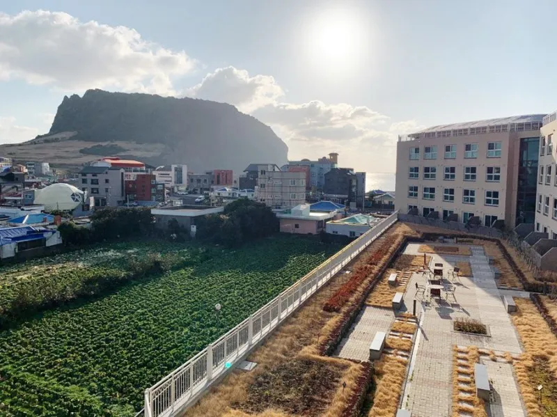 [서귀포 성산] 바다뷰와 성산일출봉 바로앞 신축풀옵션 안전한 집 56