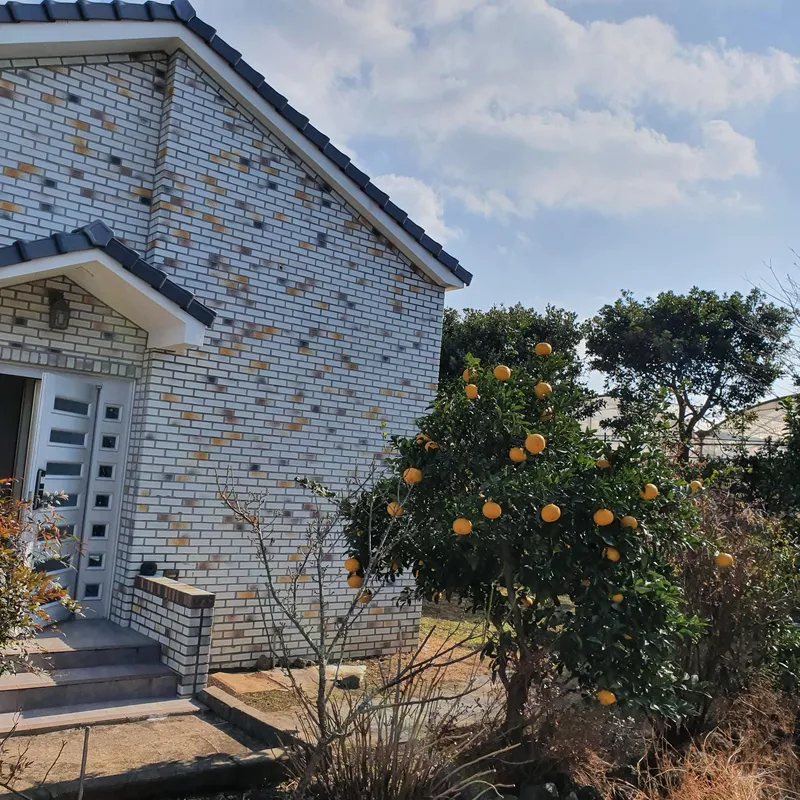 [Pyoseon, Seogwipo] Jeju Seogwipo Outdoor Pet-Friendly Farmhouse with Tangerine Orchard and Stone Wall on the 1st Floor 13