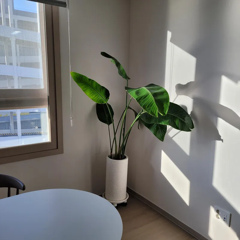 [Ansan] Newly built three-room officetel with Sihwa Lake in the background 19