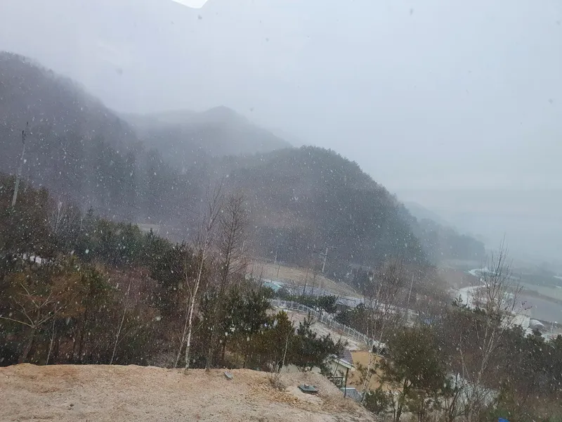 [경기 양평] 자작나무 분리형원룸 독채 14