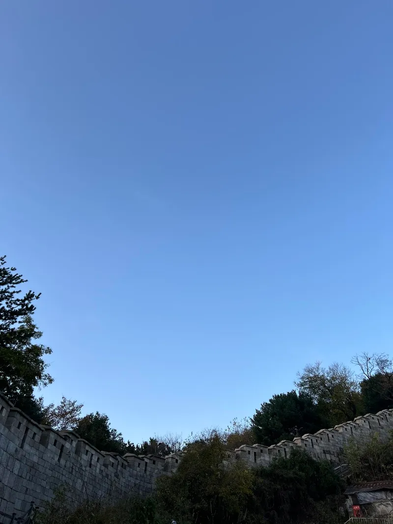 [서울 종로][서울 종로 한옥] 한옥 마당이 보이는 투룸과 거실 독립 31