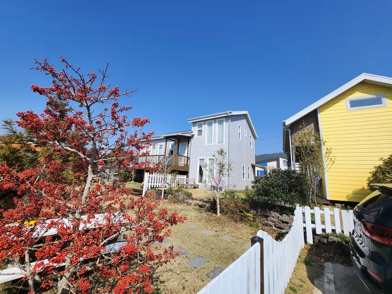 [Andeok, Seogwipo] Daepyeong-ri one-room accommodation with a yard #Pets allowed (small to medium-sized) 17