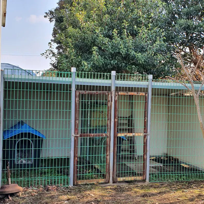 [Pyoseon, Seogwipo] Jeju Seogwipo Outdoor Pet-Friendly Farmhouse with Tangerine Orchard and Stone Wall on the 1st Floor 7