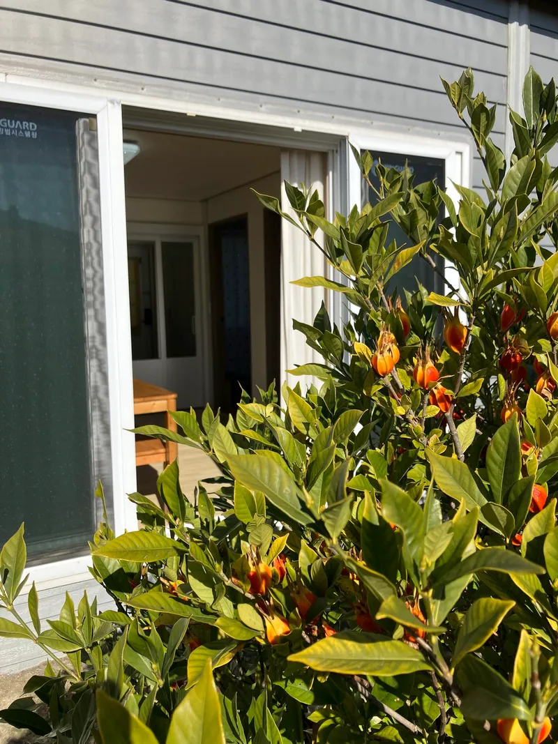 [Gujwa, Jeju][Jeju Hado] Cozy accommodation with a lawn between stone walls 24