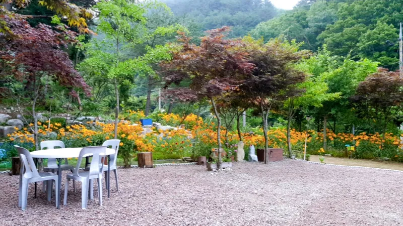 [강원 인제] 펜션,계곡,마당,숲,온천,요양 39