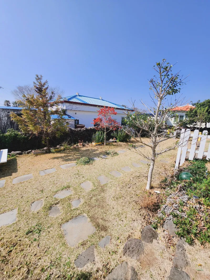 [Andeok, Seogwipo] Daepyeong-ri, two-story detached house with yard, pet-friendly (small to medium-sized) 13
