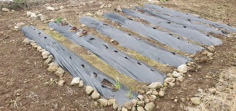 [제주 애월] 쓰리룸 2층 독채내집처럼편안한타운하우스 27