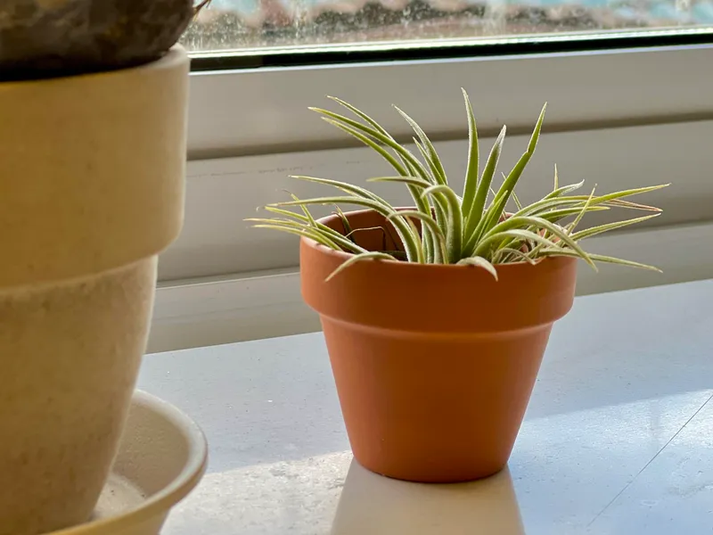 [전남 목포] 앞은 목포항 뒤로는 유달산 전망의 신축 복층 독채 30