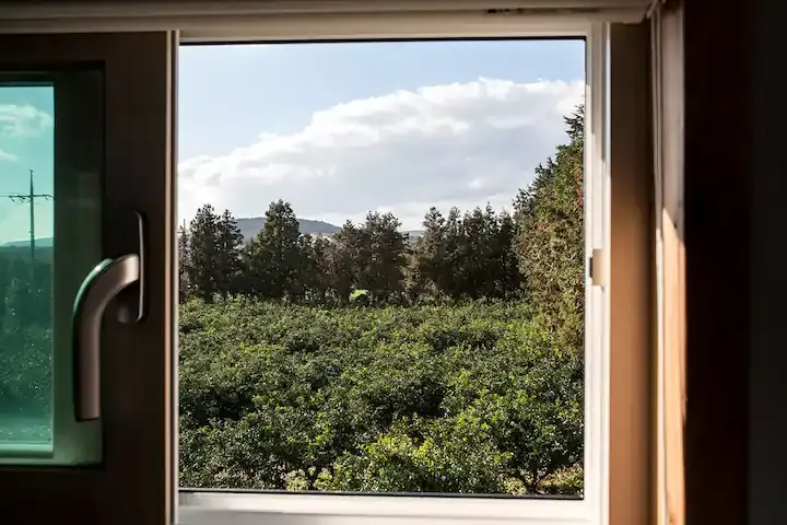 [Seongsan, Seogwipo] Two-room independent pension with the scent of the forest 16