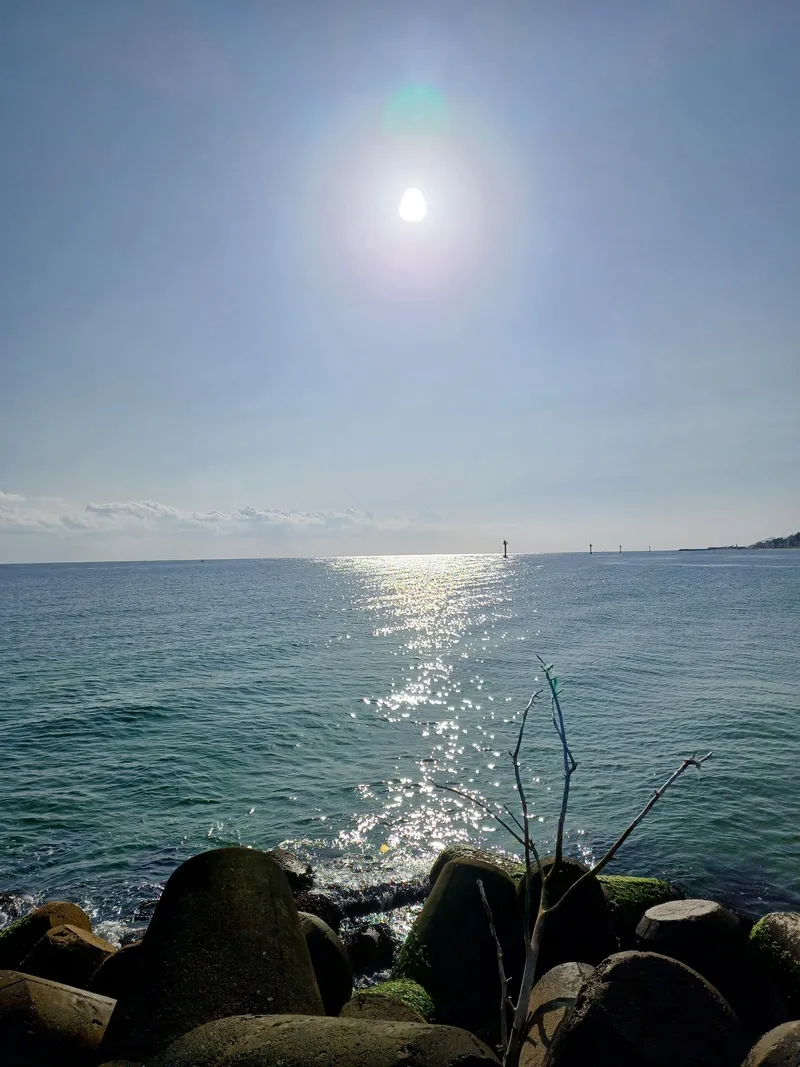 [강원 강릉] 바다근처 숲세권 소소하우스/감성템 빔프로젝터 32