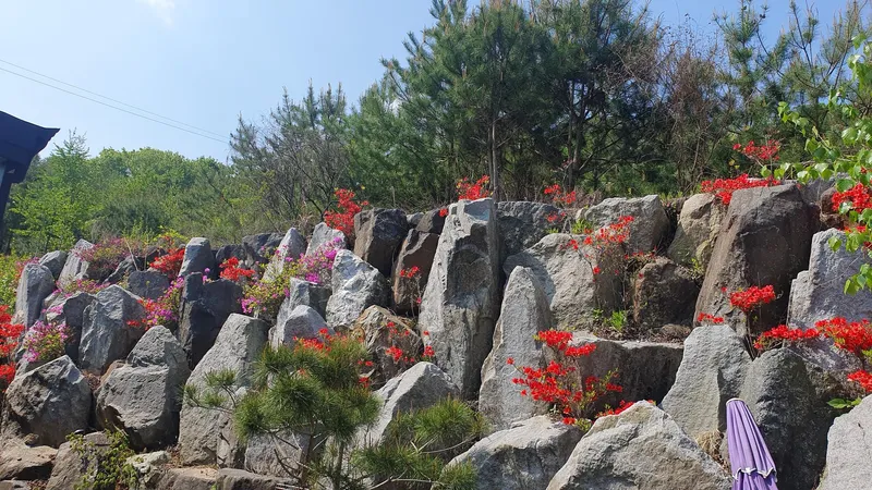 [경기 양평] 자작나무 분리형원룸 독채 16