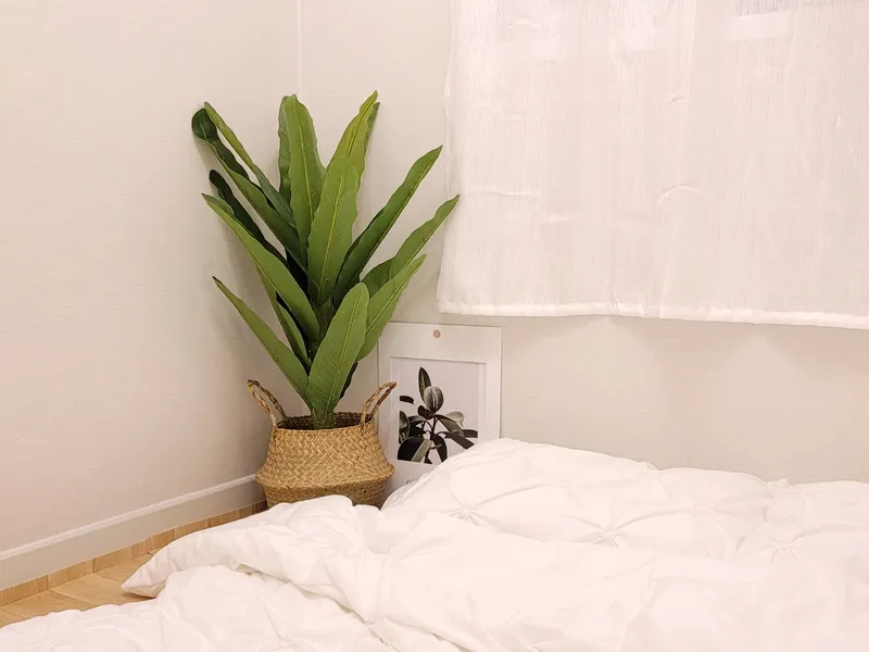 [Mapo, Seoul] #5 mins from Sinchon Station #Hongdae & Yeonam-dong #2 rooms #Up to 4 people #Full options 15