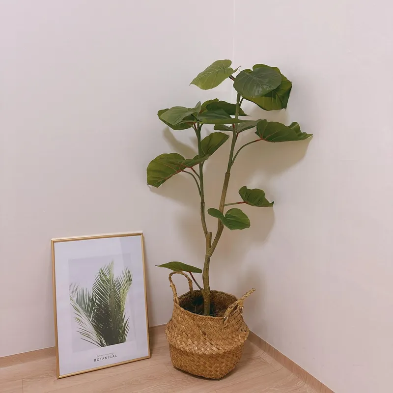 [강원 강릉] 유담아 안목해변근처, 버스정류장 1분거리 투룸주택 8