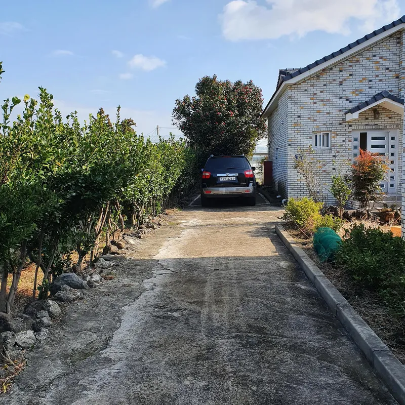 [Pyoseon, Seogwipo] Jeju Seogwipo Outdoor Pet-Friendly Farmhouse with Tangerine Orchard and Stone Wall on the 1st Floor 14